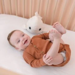 PABOBO Veilleuse Bébé Béluga Peluche Veilleuse & Bruits Blancs 15 PABOBO Veilleuse Bébé Béluga Peluche Veilleuse & Bruits Blancs -Joli Nid Magasin beluga peluche veilleuse bruits blancs pabobo 367528 OE