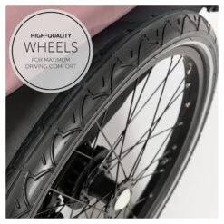 HAUCK Remorque De Vélo Dryk Duo Rose -Joli Nid Magasin dryk duo rose hauck OI