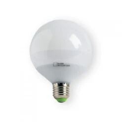 Ampoule Globe LED Pour Luminaire S/M
