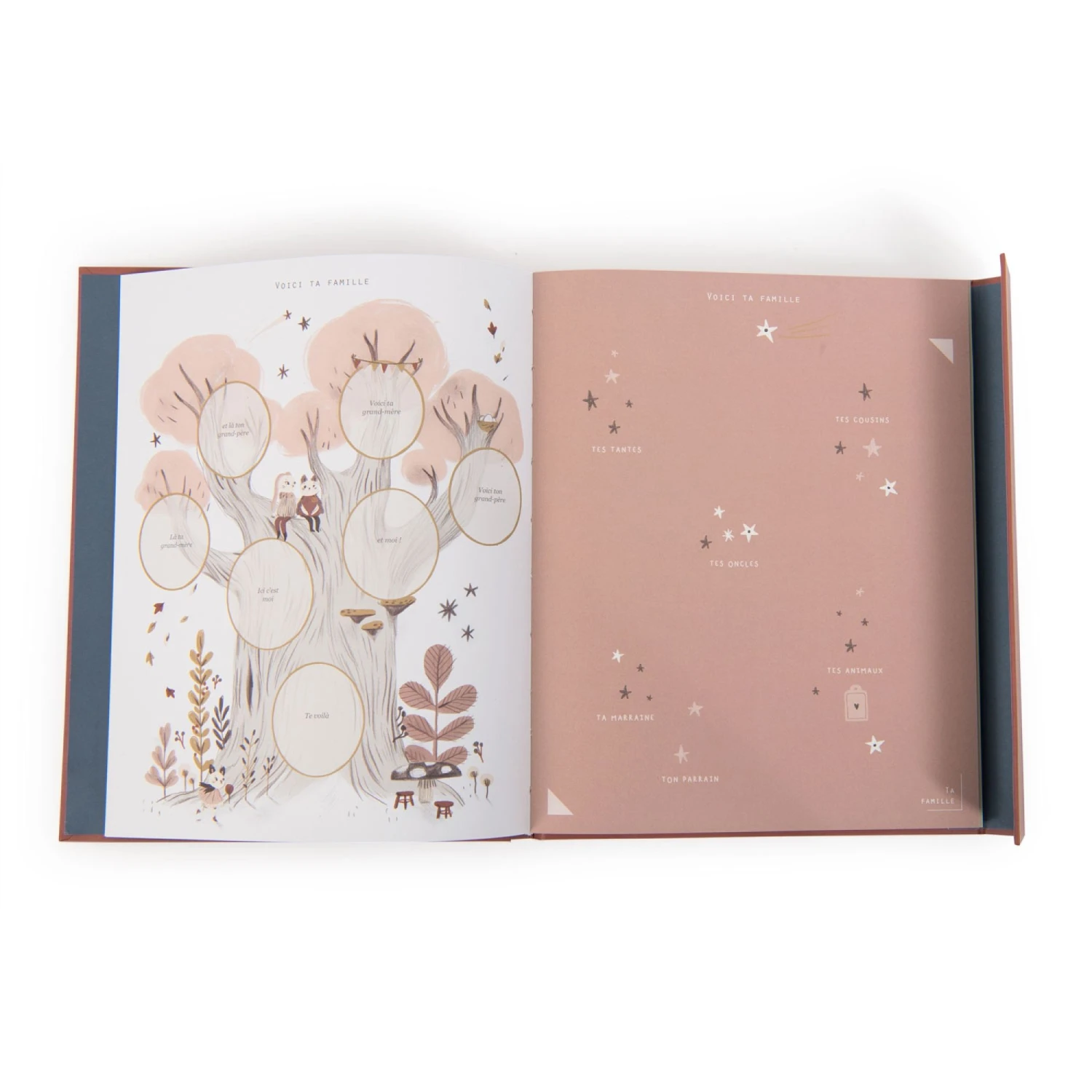 Moulin Roty Livre De Naissance Après La Pluie 4 Moulin Roty Livre De Naissance Après La Pluie – Image 2