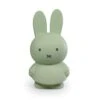 Tirelire Enfant Miffy Taille M Eucalyptus 1 Tirelire Enfant Miffy Taille M Eucalyptus -Joli Nid Magasin tirelire miffy warm 19cm eucalyptus atelier pierre OA