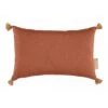 Coussin Sublim Toffee -Joli Nid Magasin toffee nobodinoz 213213 OA